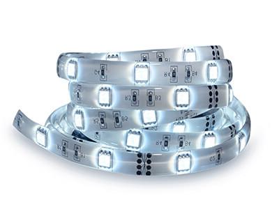 Led stripe coil isolated on white. Electric diode strip.